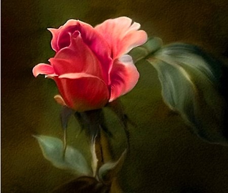 Alma Burgoyne obituary photo