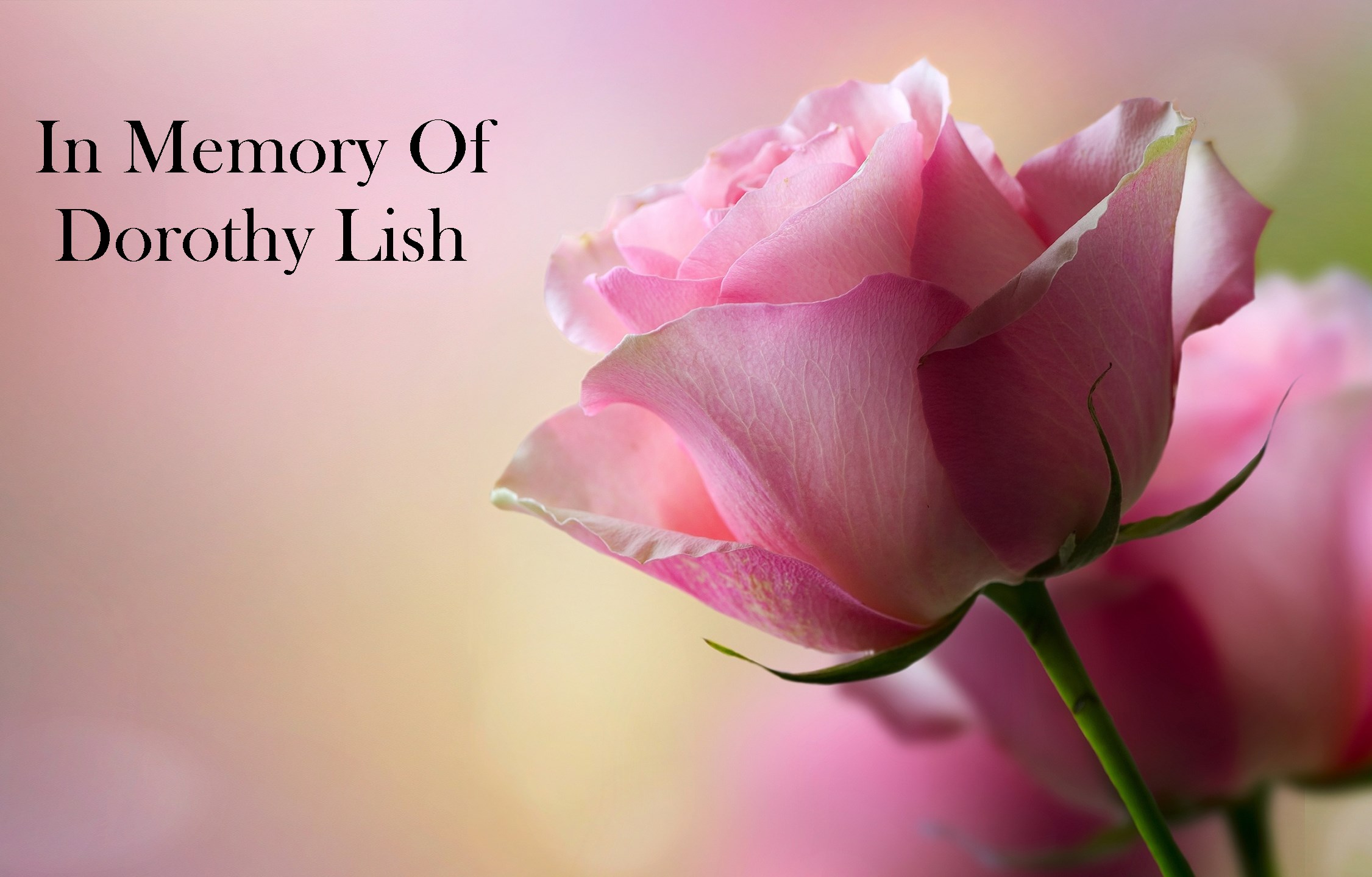 Dorothy Bean Lish obituary photo