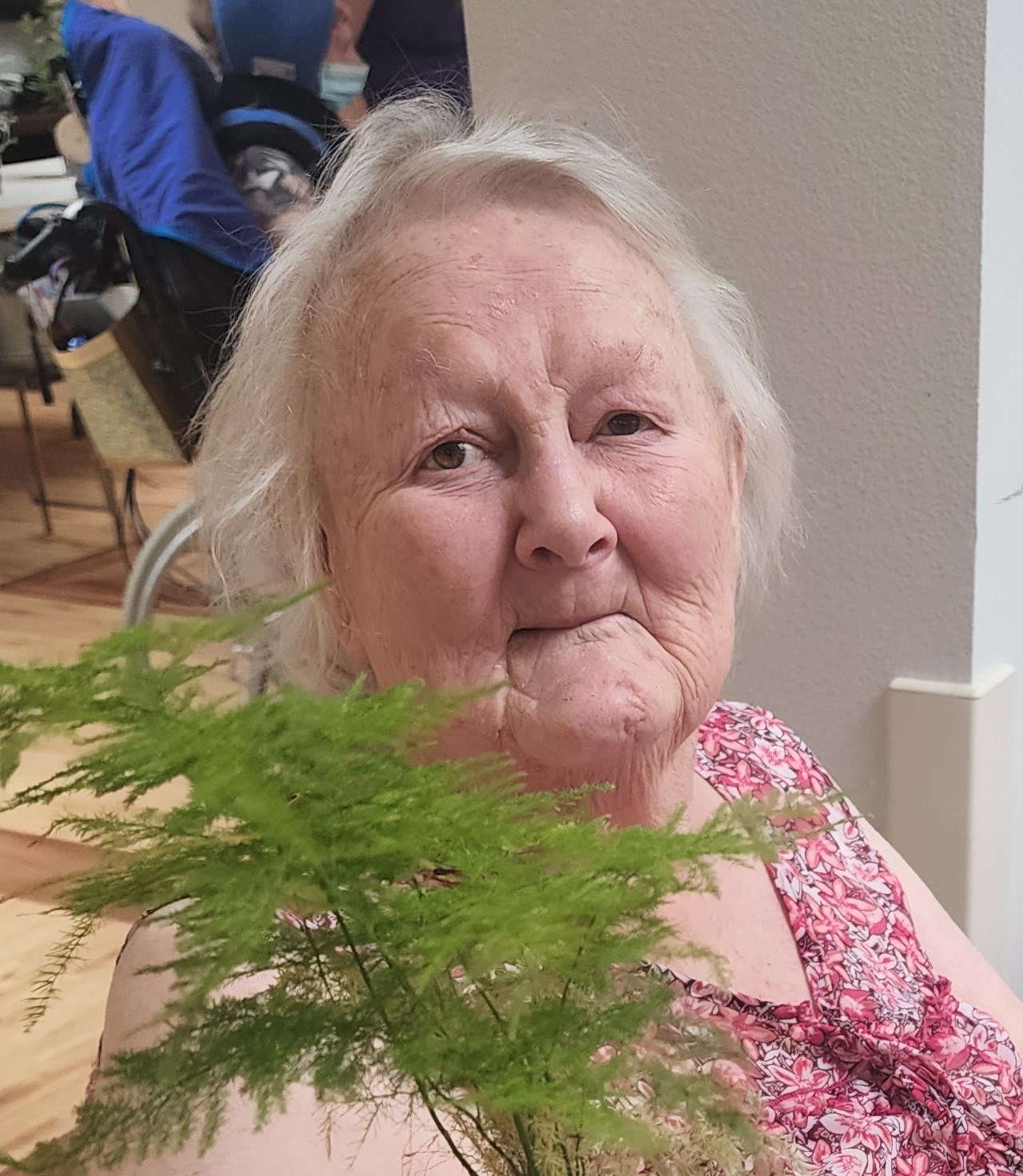 Diane Marie Ward obituary photo