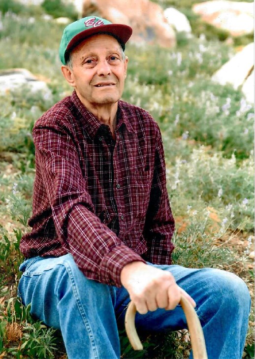 Frank James Franklin Davis obituary photo