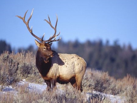 Richard “Dick” Highland obituary photo