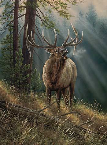 Clifford Randall Stewart obituary photo